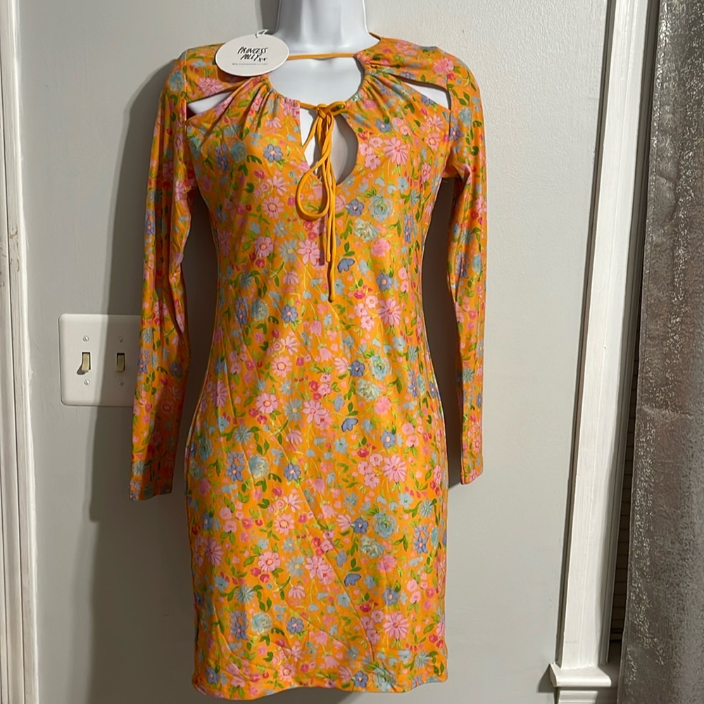 Princess Polly dress